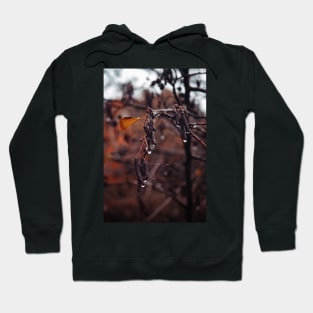 Drops or rain of an autumn day in the woods Hoodie